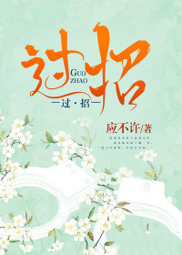 过招的意思和含义
