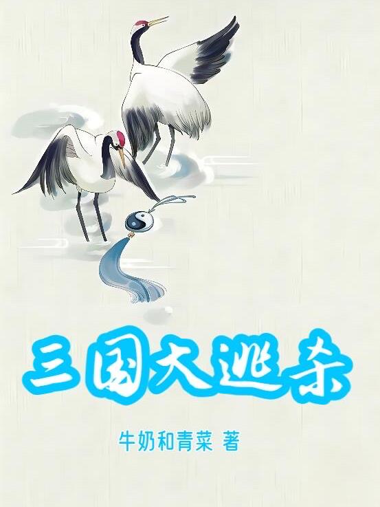 三国大时代4攻略