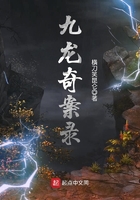 九龙奇计诗句大全