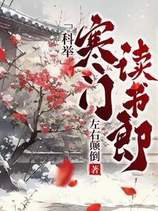 小说寒门科举
