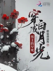 穿成男主的早死姐姐